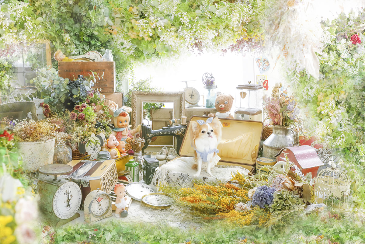 保坂さほプレミアムフォトアート