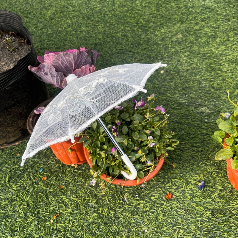 レースミニアンブレラ ５個セット