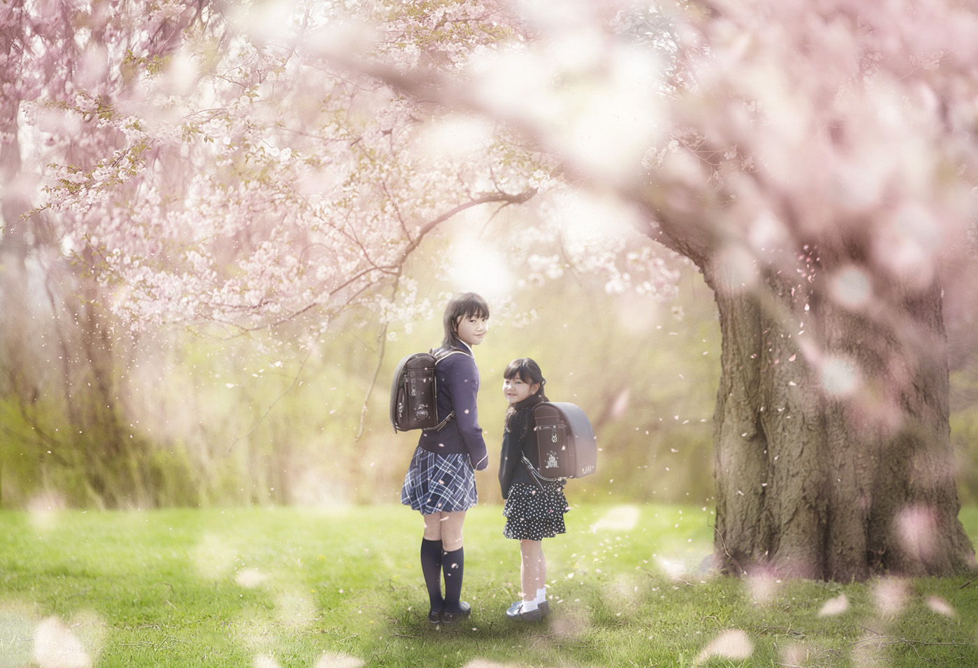 桜の木の下プレミアムフォトアート