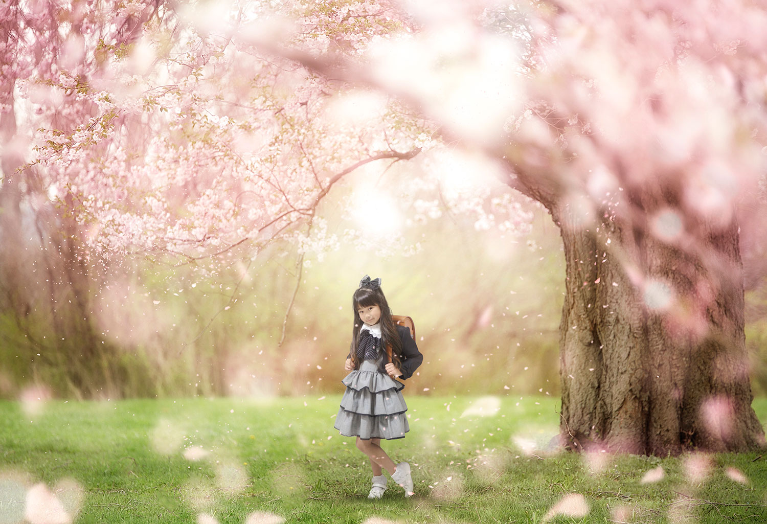 桜の木の下プレミアムフォトアート